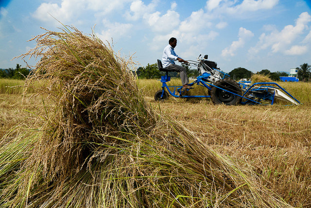 106506 millet harvesting machine india
