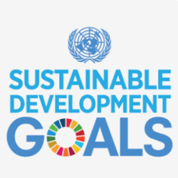 E-learning Courses on the Sustainable Development Goals