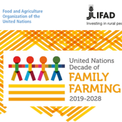 UN Decade of Family Farming starts this May 2019