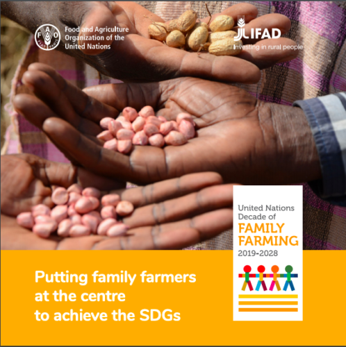 Putting family farmers at the centre to achieve the SDGs