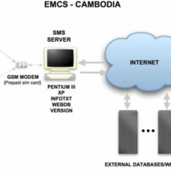 SMS market information pilot project in Cambodia builds interest