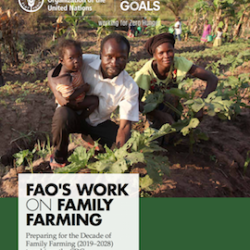 New Publication: FAO's Work on Family Farming