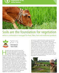 Soils are the Foundation for Vegetation