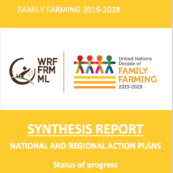 2021 Synthesis Report on the UNDFF National and Regional Action Plans' Progress Released