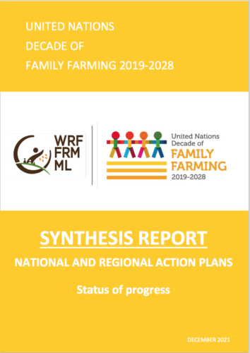 2021 Synthesis Report on the UNDFF National and Regional Action Plans' Progress Released