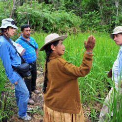 Rice technologies adoption among Bolivian farmers
