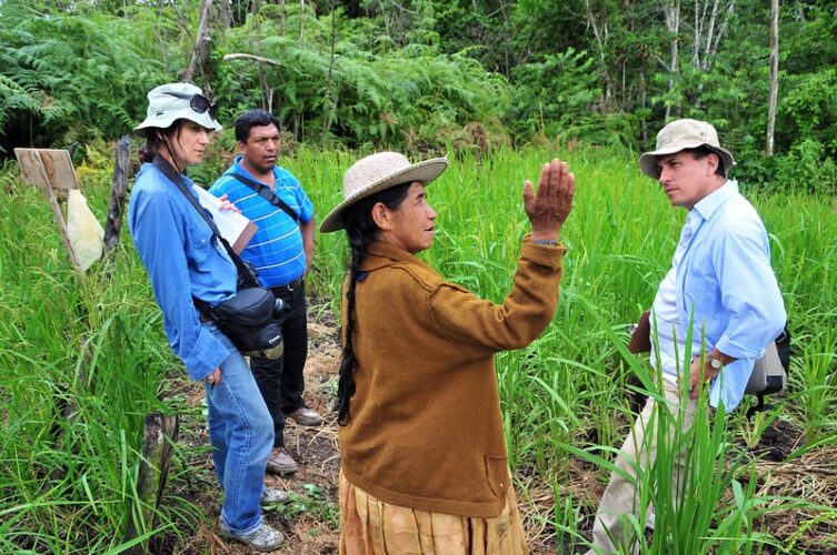 Rice technologies adoption among Bolivian farmers