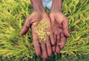 The role of crop science in poverty alleviation among family farmers