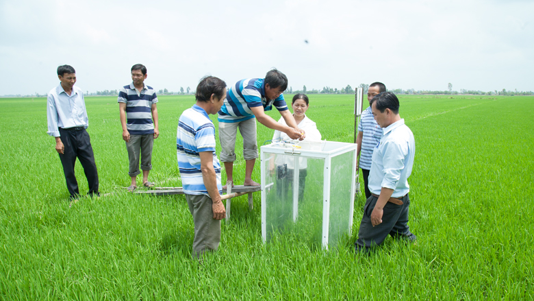 Education as an Integral Factor in Rural Farming Development: Evidence from Rural Vietnam