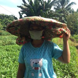 Empowering Women in Indonesian Palm Oil Plantations through ICT