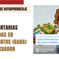 UN-FAO launches Food-Based Dietary Guides of Ecuador training course