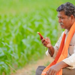 University of Glasgow study explores digital hotlines as RCS tools for farmers in Southern India