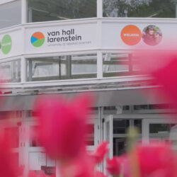 ComDev in Action: Building Sustainable Futures in the Netherlands