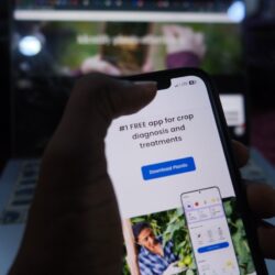 Community radio, AI app aid in African farmers’ crop woes