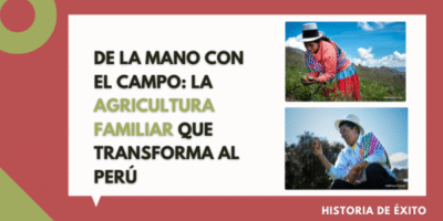 UN-FAO’s ‘hand-in-hand’ effort strengthens Family Farming in Peru’s highlands