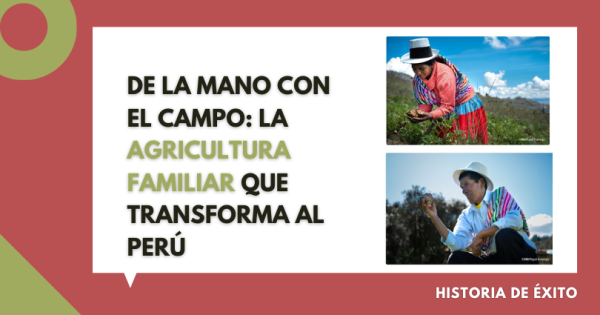 UN-FAO’s ‘hand-in-hand’ effort strengthens Family Farming in Peru’s highlands