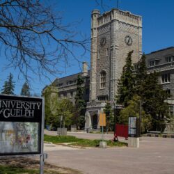 Rural Roots, Global Reach: Communication for Development at the University of Guelph