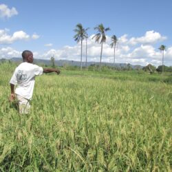 Farms of the future: How Tanzanian farmers are building climate resiliency through communication