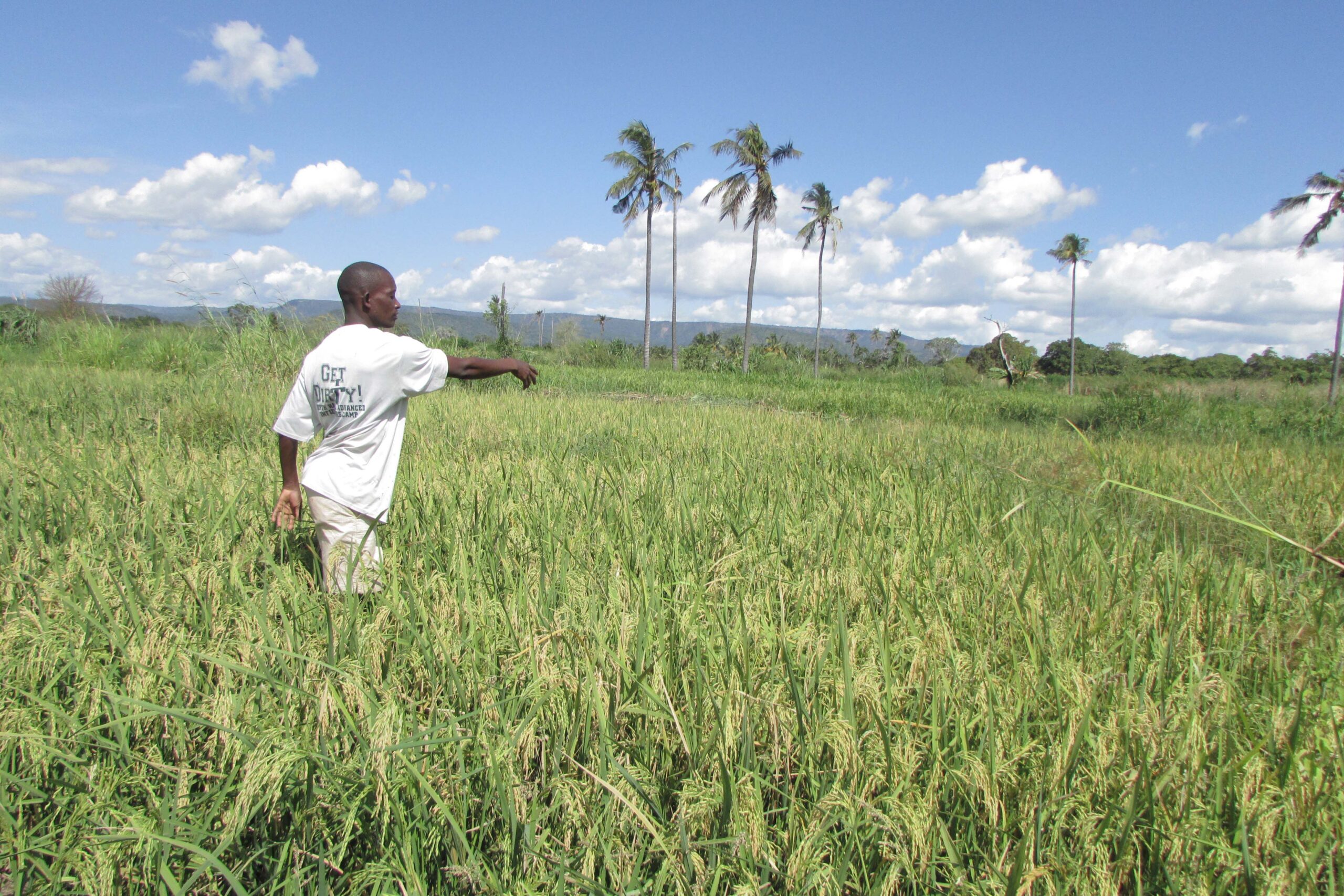 Farms of the future: How Tanzanian farmers are building climate resiliency through communication