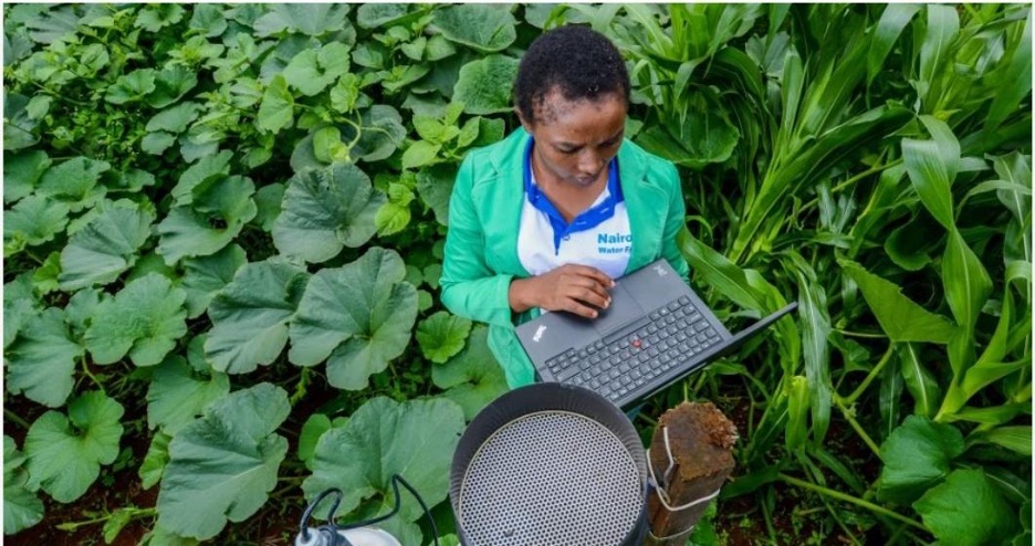 AI on the farm: The potential of Artificial Intelligence to transform agriculture in Africa